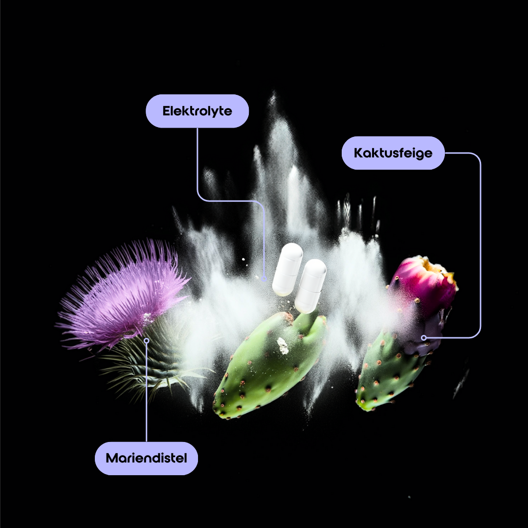 Partylyte - Elektrolyte & Botanicals